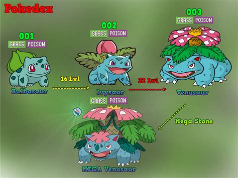 pokemon bulbasaur evolution chart.